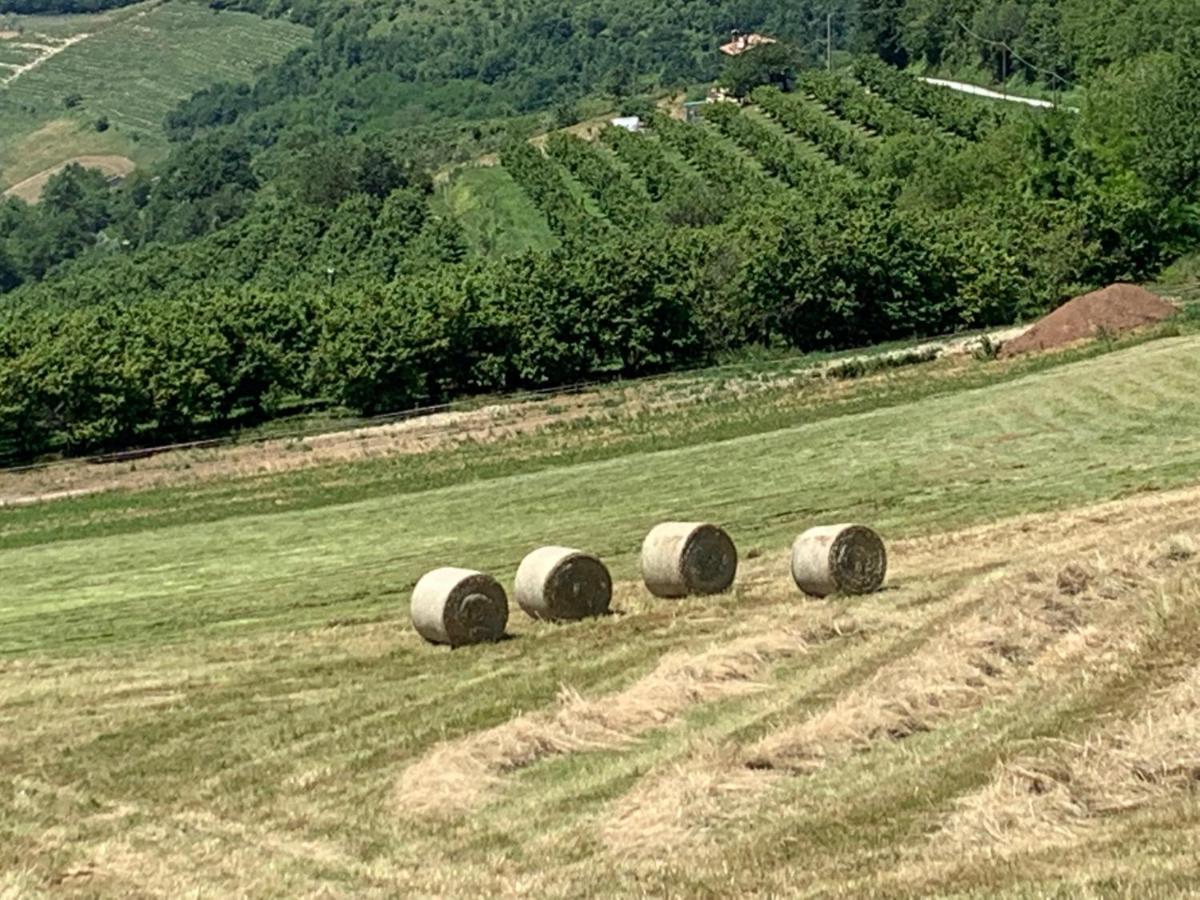 La Luce Delle Colline Bed & Breakfast Serravalle delle Langhe Bagian luar foto